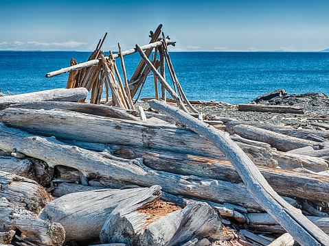 A lean-to shelter constructured from old driftwood is partially built on South Beach on San Juan Island.