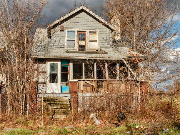 Overgrown House In Highland Park An abandoned house in Highland Park is being overcome by plants and bushes. highland park michigan stock pictures, royalty-free photos & images