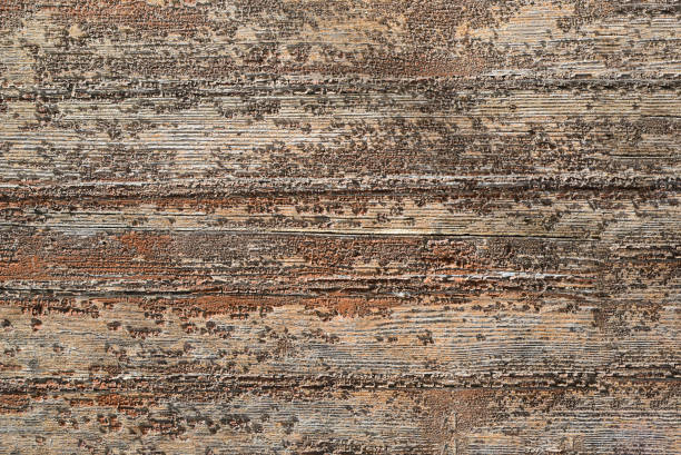istock Texture of wooden surface as background, closeup view 1459671607