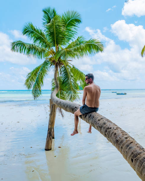 istock young men sitting at a palm tree on a white tropical beach Anse Volbert beach Praslin Seychelles 1459674440