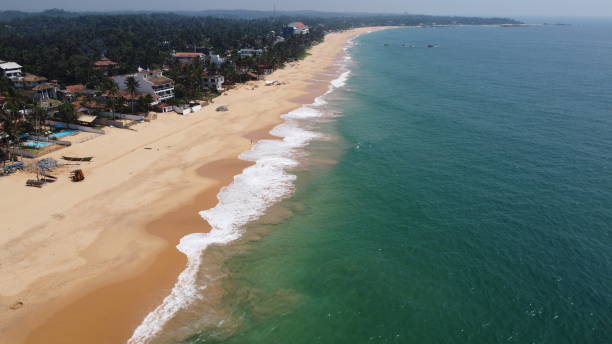 istock Sri Lanka southern beach 1459676295