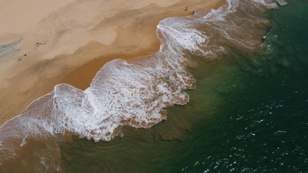 istock Sri Lanka southern beach 1459676329