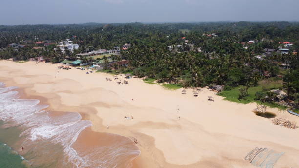 istock Sri Lanka southern beach 1459676340