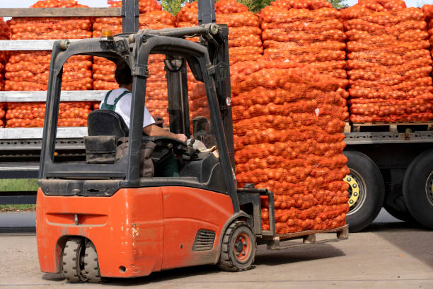 Forklift Loading Mesh Bags of Fresh Onion into the Truck