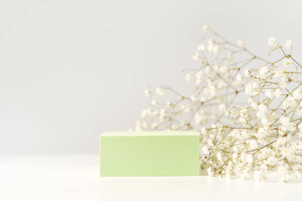 Spring minimal scene for beauty cosmetic product presentation made with green cube and wild flowers on white background. stock photo