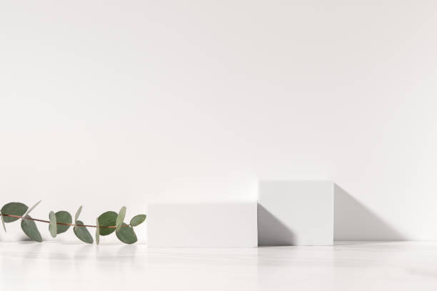 istock Minimal scene for beauty cosmetic product presentation made with white cubes and eucalyptus branch on white background. 1459678449
