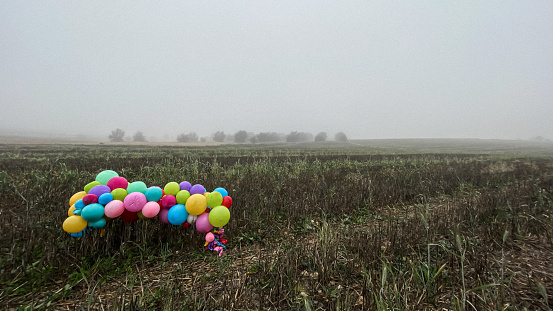 Some balloons from a birthday party ended up in the fields