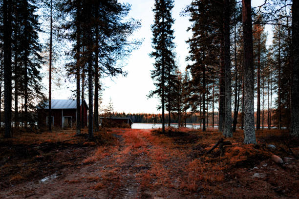 istock North of sweden 1459681210