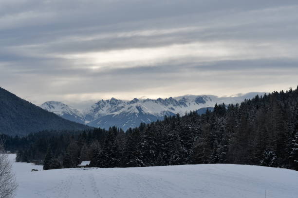 istock Beautiful landscape in winter around Seefeld in Tirol 1459682043