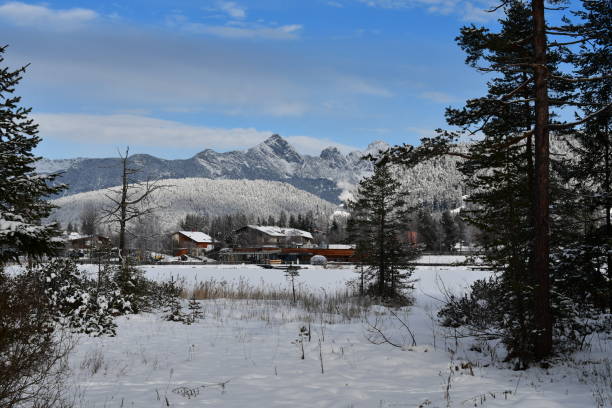 istock Beautiful landscape in winter around Seefeld in Tirol 1459682554