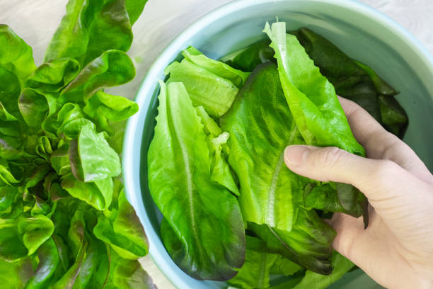 istock Woman in the kitchen puts lettuce leaves from the table into a salad bowl 1459683025