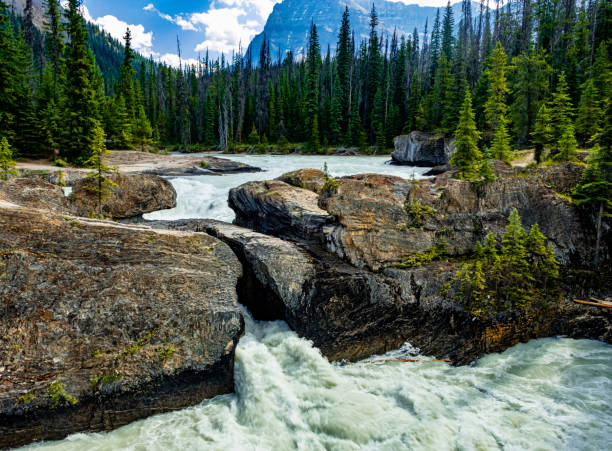 istock Natural Bridge Yoho National Park British Columbia Canada 1459689863