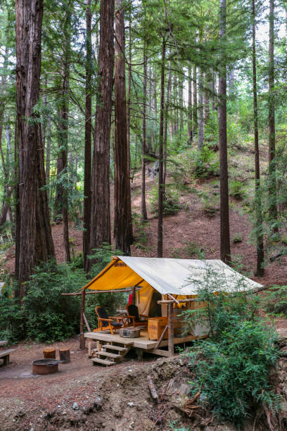 Camping in a wall tent in the Redwoods in Big Sur, California stock photo