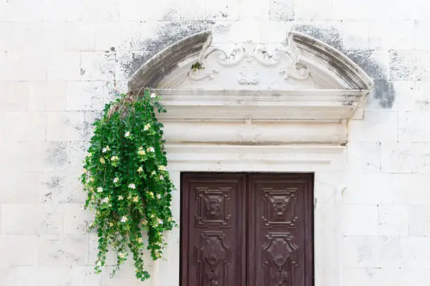 Richly decorated historic church door and caper plant in bloom coming out from the stone wall, orthodox Church of St Elias the Prophet in Zadar, Croatia