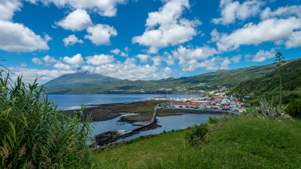 istock faial azores beach vegetable garden ocean rocks 1459693424