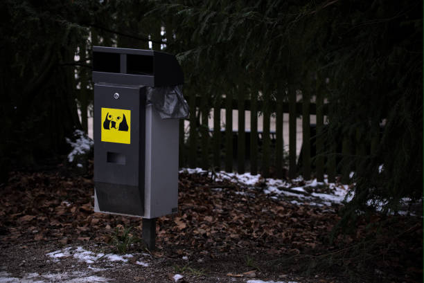 istock Dog waste bin in the winter 1459694072
