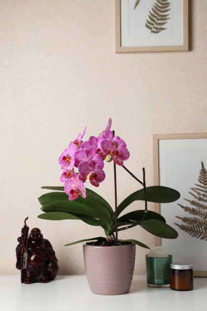 白いテーブルの上の美しいピンクの蘭の花とさまざまな装飾エレメント - wall decor ストックフォトと画像