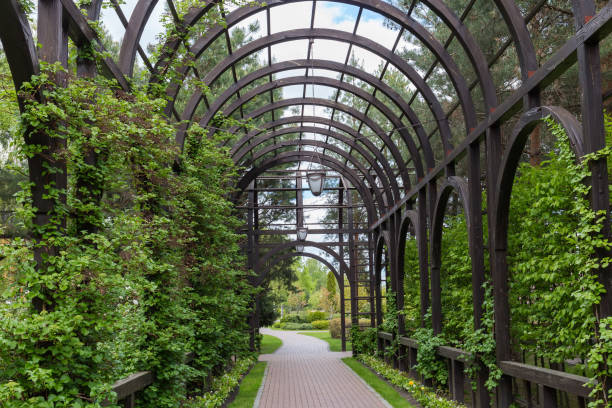 istock Wooden arched pergola in the spring public park 1459701260