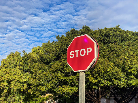 Low angle view of stop sign in front of trees and cloudy sky in the city of Valencia, Spain