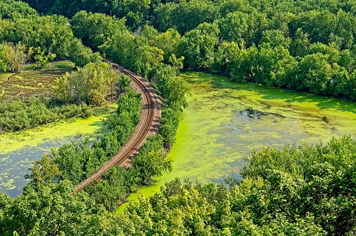 Railroad tracks across the flood plain along the banks of the Mississippi river in Iowa. algae green filled ponds and oxbow lakes on either side of the tracks on the west bank of the river. An areal view of railroad tracks in a green environment.