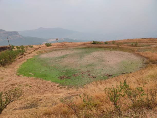 istock A green patch formed by dried  pond 1459718430