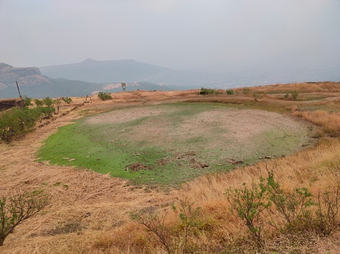 A patch formed by dried up pond on mountain top