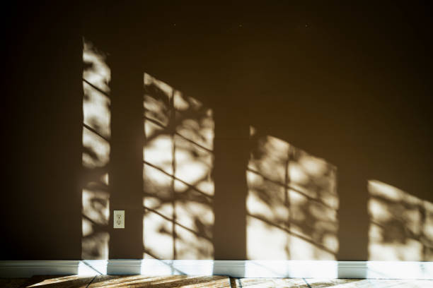 Shadows of Windows and Tree Branches on Empty Wall in Home in Saint Paul, Minnesota, United States