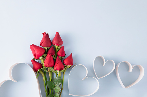 Beautiful red rose and dark chocolate for valentine day on white wooden background, copy space