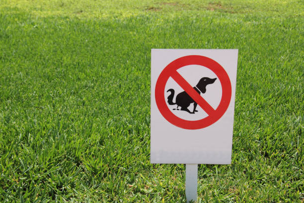 sinal de proibição com um cão - walking dog pets outdoors - fotografias e filmes do acervo