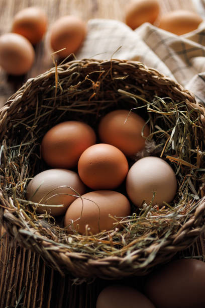 istock Chicken eggs from an organic farm in a basket, close-up view 1459725010