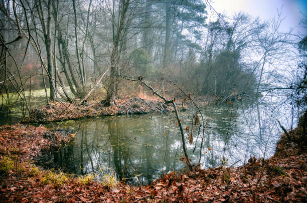 istock Lake Benson Park Winter Pool 1459727487