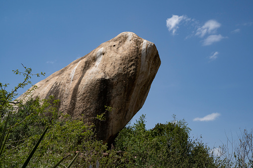 A gigantic rock, towering over trees and vegetation in the african savanna in Tanzania.