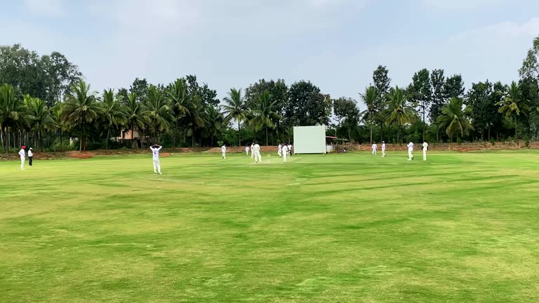 Bowler shouting for out in one day cricket match