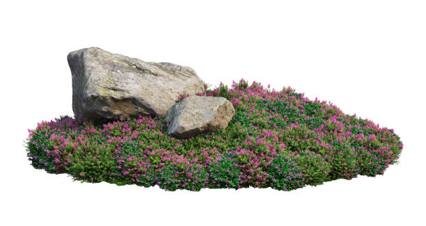 istock 3d render stone Garden decoration on a white background 1459737326