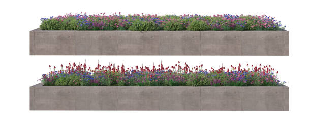 istock 3d render Shrubs and flower on a white background 1459737976
