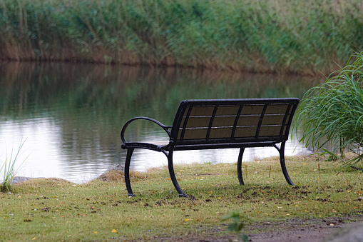 Empty bench by lake during the summer