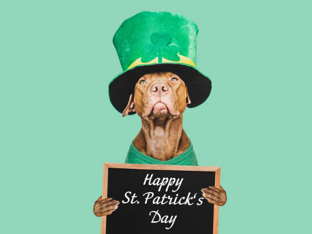 istock Puppy and a bright green leprechaun hat 1459742377