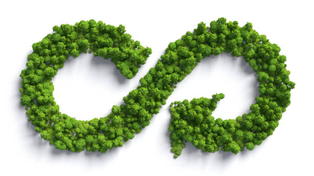 Circular economy forest Symbol Circular economy forest Symbol on white background recycle symbol cut out stock pictures, royalty-free photos & images