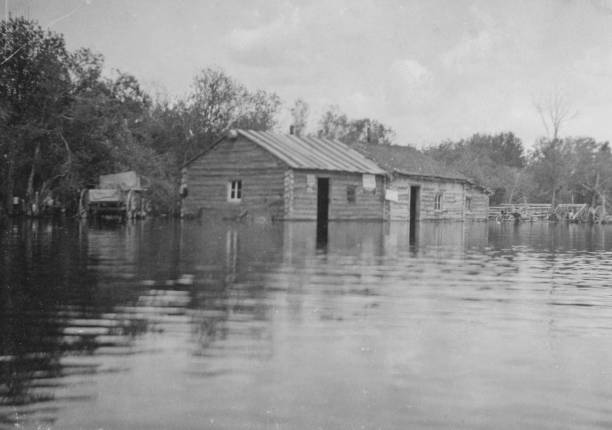 istock Flooding Along the Heart River in Alberta, Canada  - 1914 1459750469