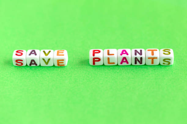 istock Phrase Save plants made out of beads on bright green background 1459750565