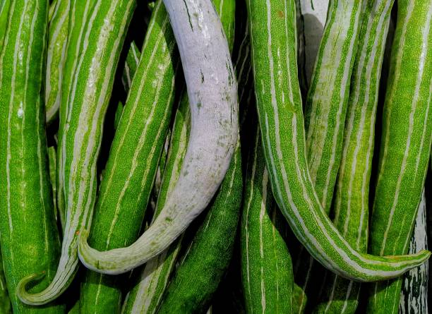 istock Vegetables and foods 1459751018