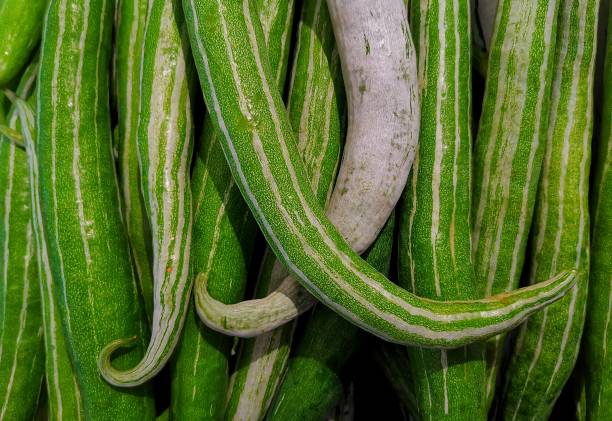 istock Vegetables and foods 1459751076