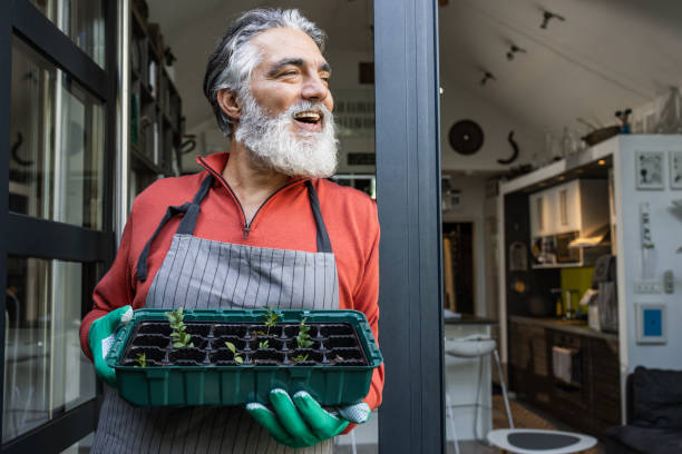 istock Gardening at home concept 1459756343