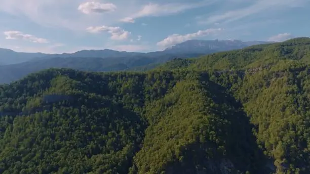 Photo of Beautiful landscape. Top view of green hills and forests. Blue sky and clouds. Countryside. Wildlife. Aerial drone view