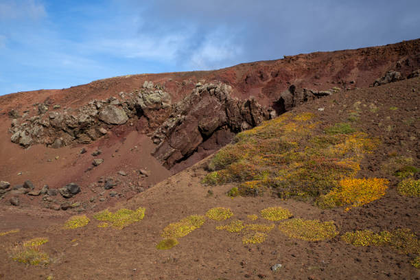 roccia vulcanica colorata sulla penisola di snäfellsnes nell'islanda occidentale, europa, europa settentrionale - crateri foto e immagini stock