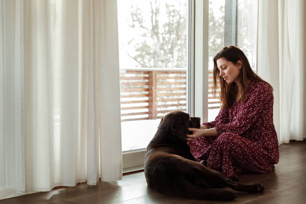 istock Woman looks interacts with dog 1459767756