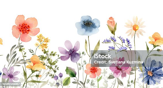 istock Seamless border with delicate multicolored meadow flowers, watercolor illustration. 1459770087