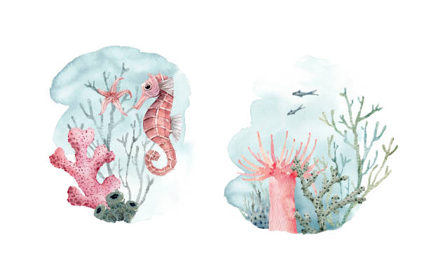 zestaw akwarelowych tła z koralowcami i życiem morskim, do pocztówek i wzornictwa. - underwater animal sea horse fish stock illustrations