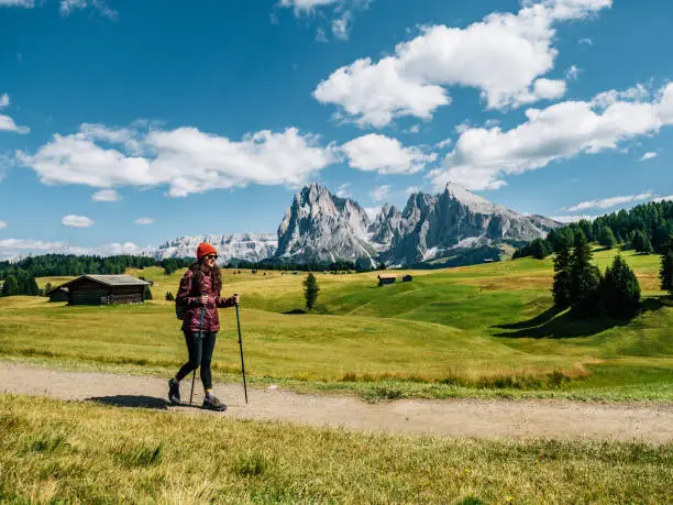 A woman is walking with hiking poles in a Seiser Alm footpath. Sassolungo and Sassopiatto in the background.