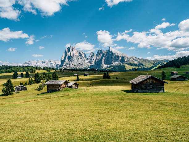 晴れた日のザイザーアルムビュー - イタリア北部の有名なランドマーク - sassopiatto ストックフォトと画像